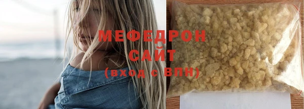 индика Гусев