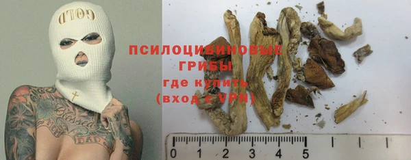 СК Гусь-Хрустальный