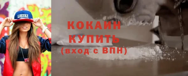 индика Гусев