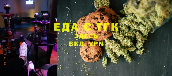 индика Гусев