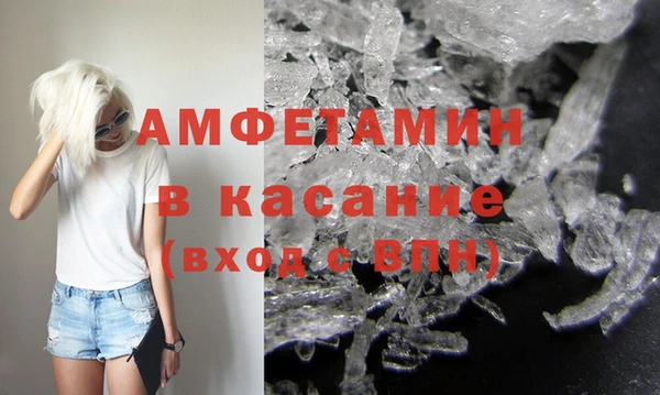 индика Гусев