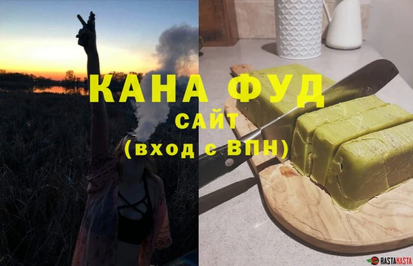 индика Гусев