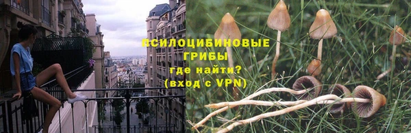 ALPHA-PVP Гусиноозёрск