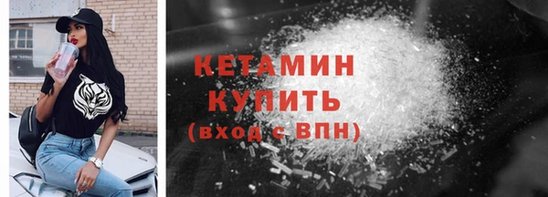 индика Гусев