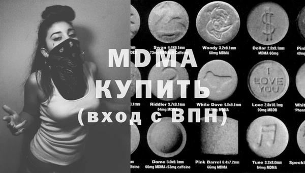 индика Гусев