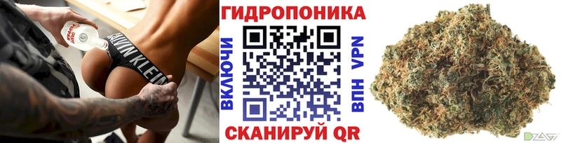 Шишки марихуана OG Kush  Гусиноозёрск 